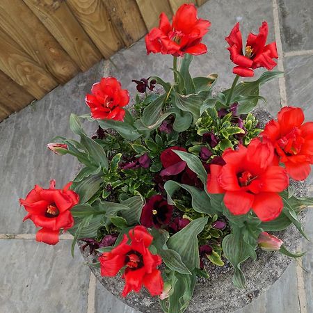 Rosegarth Bed And Breakfast Marton near Pickering Zewnętrze zdjęcie